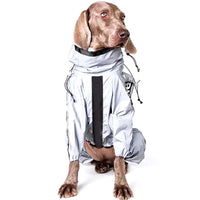 Thumbnail for Reflective Dog Raincoat