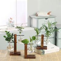 Thumbnail for Hydroponic Transparent Plant Vases